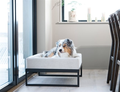 BIA Hondenbedstandaard BIA AIR FRAME 72×62 cm – Zwart