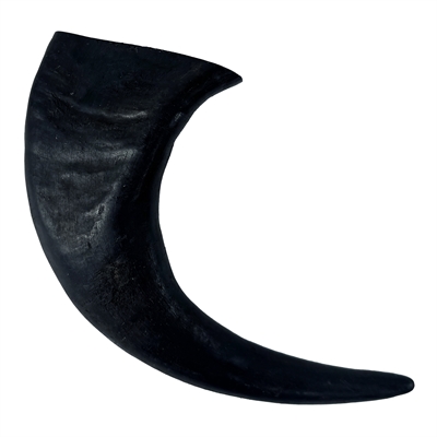   Stevige kauwsnack buffelhoorn T-REX Groot 100% natuurlijk, monoproteïne - 19-22 cm