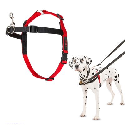 HALTI Harnas Front Control Zwart M/58–86 cm – Neopreen Komfort