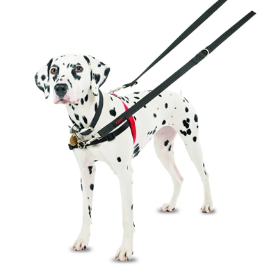 HALTI Harnas Front Control Zwart M/58–86 cm – Neopreen Komfort