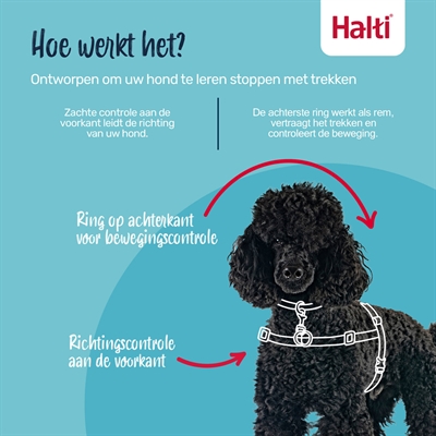 HALTI Harnas Front Control Zwart M/58–86 cm – Neopreen Komfort