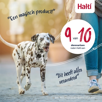 HALTI Harnas Front Control Zwart M/58–86 cm – Neopreen Komfort