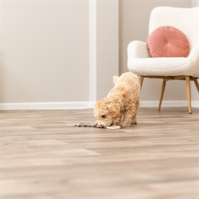 TRIXIE Hondenspeeltje Visgraat Leer met Touw 43 cm – Natuurlijke materialen