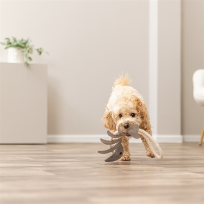 TRIXIE Hondenspeeltje Visgraat Leer met Touw 43 cm – Natuurlijke materialen