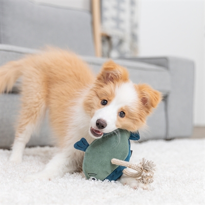 TRIXIE Hondenspeeltje Vis Leer met Touw 28 cm – Zonder Geluid