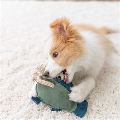 TRIXIE Hondenspeeltje Vis Leer met Touw 28 cm – Zonder Geluid