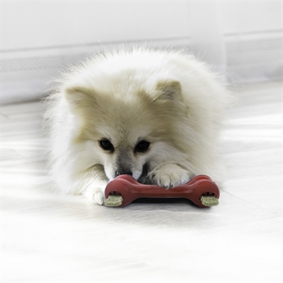 KONG Hundespielzeug KONG GOODIE BONE 13×3×5 cm - Rot