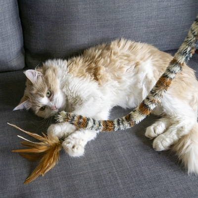 KONG Kattenhengel Swizzle Bird 4×51×2 cm – Speelgoed met Veren