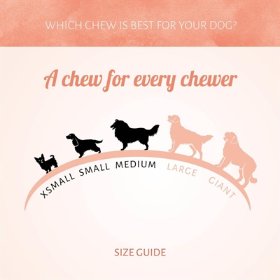 ANTOS Kauwsnack Rawhide White Roll 15 st – Natuurlijke hondenrol