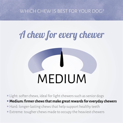 ANTOS hondensnack Rolls Sticks Rundvlees stevige rol - 20 st (200 g)