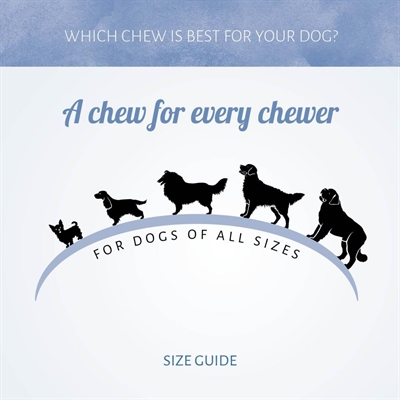 ANTOS hondensnack Rolls Sticks Rundvlees stevige rol - 20 st (200 g)