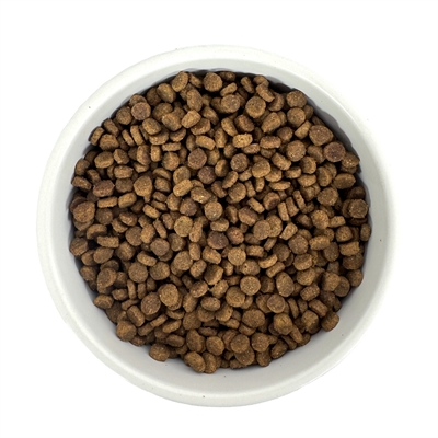 BUDGET PREMIUM kittenvoer 1 kg – Volledige voeding voor kittens