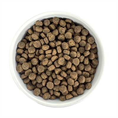 BUDGET PREMIUM Hondenvoer Small Breed 1kg – Gevogelte & Vis