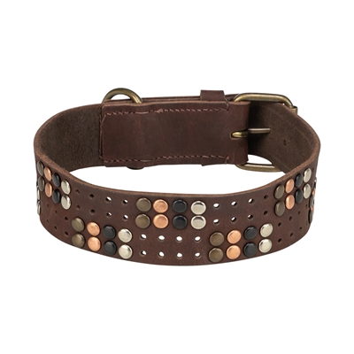 TRIXIE Halsband hond Rivet Rustic - vetleer gestikt & D-ring voor comfort - Donkerbruin - L 47-54 cm x 4 cm