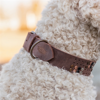 TRIXIE Halsband hond Rivet Rustic vetleer, gestikt & D-ring - Donkerbruin - XL (55-65 cm x 4 cm)