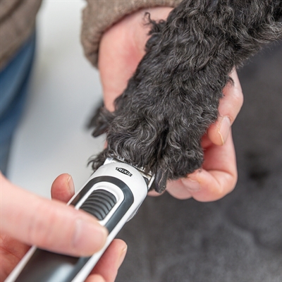 TRIXIE Tondeuse Set TR500 Draadloos Wit/Zwart – 10 Watt