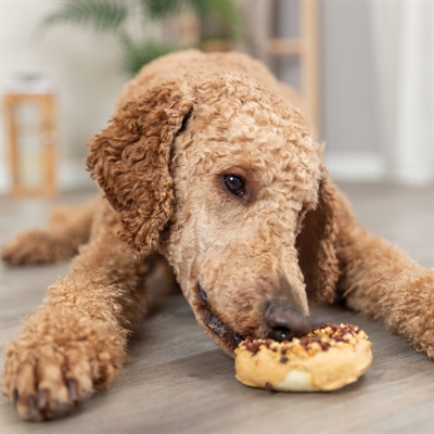 TRIXIE Kauwsnacks Donuts Eend/Kip/Kabeljauw 9 cm – Set van 3