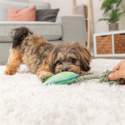 TRIXIE Hundespielzeug Tierpfote mit Seil Grün 35×22 cm - Plüsch