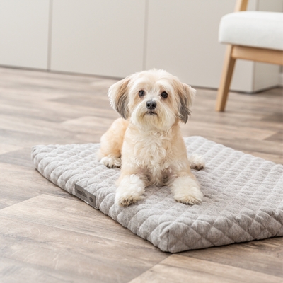 TRIXIE Hondenkussen Noah Vital 75×55 cm – Lichtgrijs