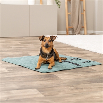 TRIXIE Hondendeken Reisdeken Saliegroen 80×80 cm – Vierkant