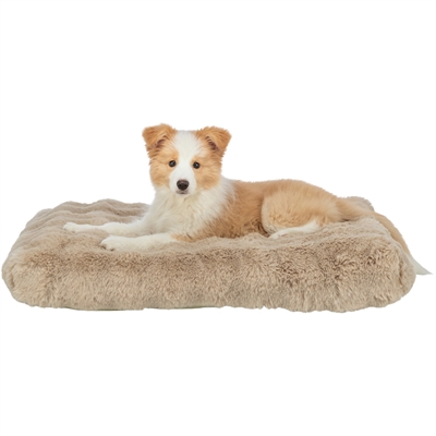 TRIXIE Hondenkussen Elli Comfortabel pluche, afneembare hoes & anti-slip - Zand - 80x60 cm