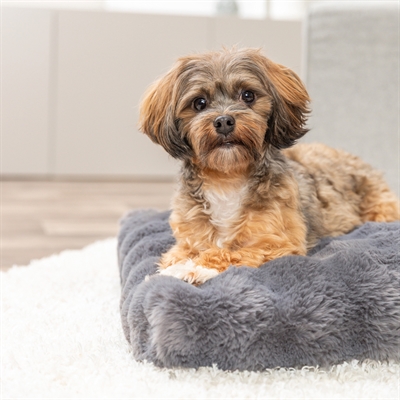 TRIXIE Hondenkussen Elli 60×45 cm – Donkergrijs