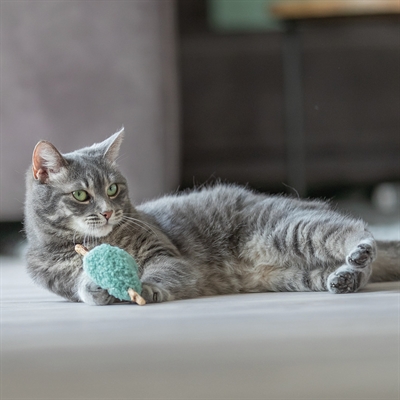 TRIXIE Kattenspeeltje Matatabi Hart Pluche 12×12 cm – Assorti