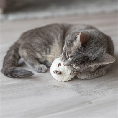 Trixie Kattenspeeltje Beer Met Catnip 8×8 cm – Pluche Assorti