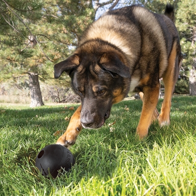 KONG hondenbal KONG EXTREME BAL MET GAT Ø 9 cm – zwart