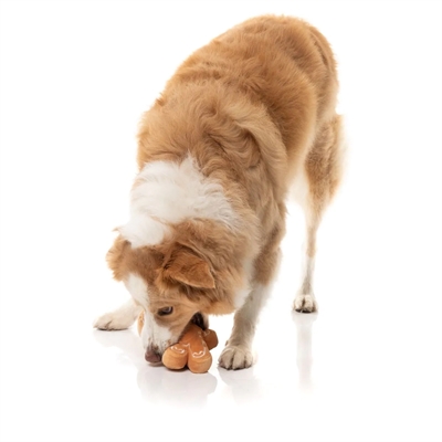 FUZZYARD hondenspeeltje Mistle-Dough 23×15×3 cm – pluche kerstkoekje