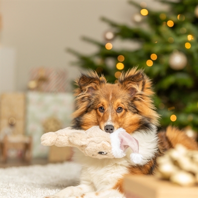 TRIXIE hondenspeeltje Kerstkoekje pluche 22 cm met pieper