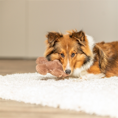 TRIXIE hondenspeeltje Xmas Gemberkoekman 16 cm – pluche met pieper