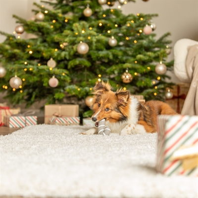 TRIXIE hondenspeeltje Xmas Kerststok latex 10 cm – grijs