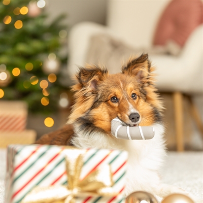 TRIXIE hondenspeeltje Xmas Kerststok latex 10 cm – grijs