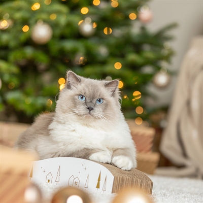 TRIXIE krabplank karton Xmas Kerst 43,5×20×8 cm – wit/goud