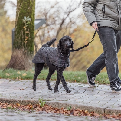 TRIXIE Hondenjas Limoux Reflect - volledig reflecterend, gewatteerd en verstelbaar - Zwart/grijs - 55 cm