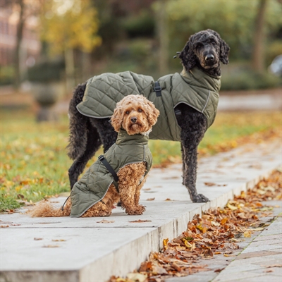 TRIXIE Hondenjas Minot 30 cm – Olijfgroen