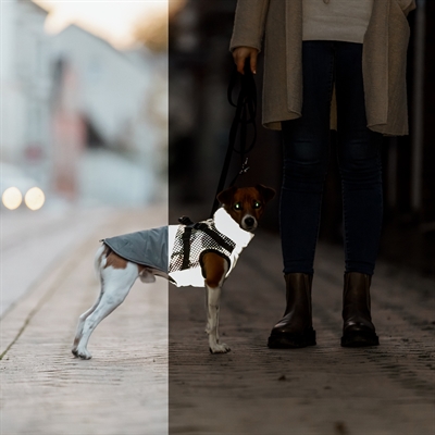 TRIXIE Hondenjas Pontis - geheel reflecterend - Grijs - 40 cm