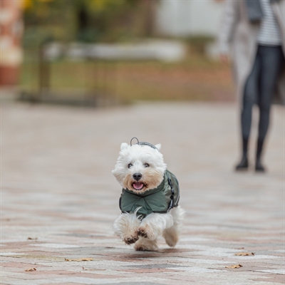 TRIXIE hondenjas Winter Explore Thermo 62 cm – olijfgroen