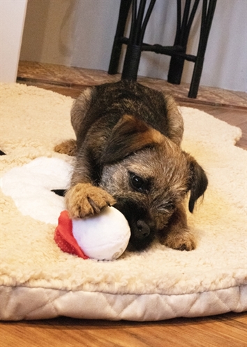 CUPID & COMET hondenspeeltje Sandra Snowball 6,5×6,5×10 cm-pluche