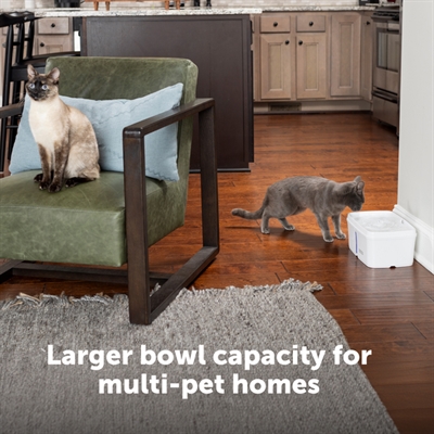 PETSAFE Drinkfontein Viva 4,1 L - stil, dubbele filter