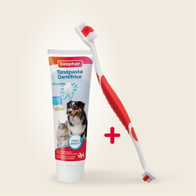 BEAPHAR Tandpasta & Borstel Set voor hond en kat – leversmaak