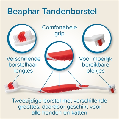 BEAPHAR Tandpasta & Borstel Set voor hond en kat – leversmaak