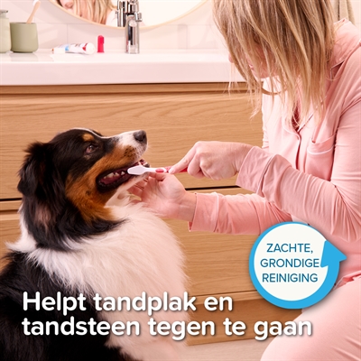 BEAPHAR Tandpasta & Borstel Set voor hond en kat – leversmaak