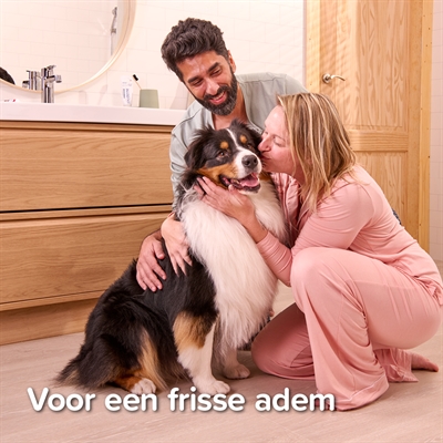 BEAPHAR Tandpasta & Borstel Set voor hond en kat – leversmaak