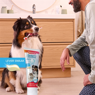 BEAPHAR Tandpasta & Borstel Set voor hond en kat – leversmaak