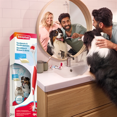 BEAPHAR Tandpasta & Borstel Set voor hond en kat – leversmaak