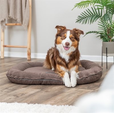 TRIXIE Orthopedisch hondenkussen Lennox visco-memory schuim - Bruin - 130x100 cm