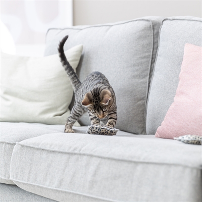 <span id="brand" data="trixie"/> kattenspeeltje Leo panterprint 9×7 cm – valeriaan