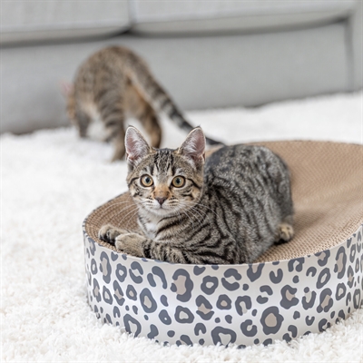 <span id="brand" data="trixie"/> krabmand Leo karton 63×35×10 cm – crème met catnip